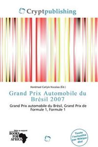 Grand Prix Automobile Du Br Sil 2007