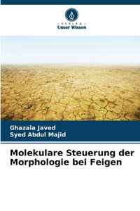 Molekulare Steuerung der Morphologie bei Feigen