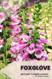 Foxglove