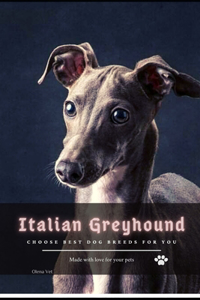 Italian Greyhound