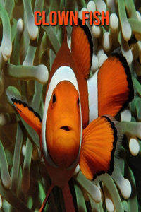 Clown Fish