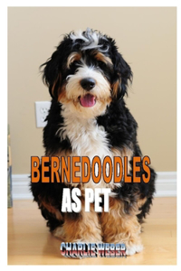 Bernedoodles as Pet