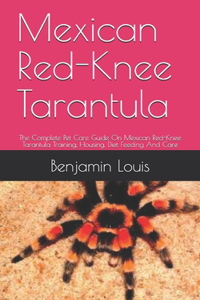 Mexican Red-Knee Tarantula