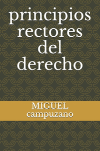 principios rectores del derecho