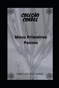 Primeiros Passos