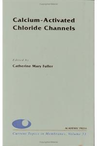 Calcium-Activated Chloride Channels