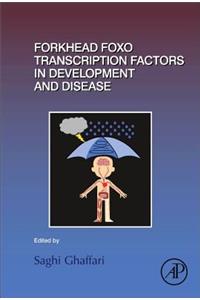 Forkhead Foxo Transcription Factors in Development and Disease