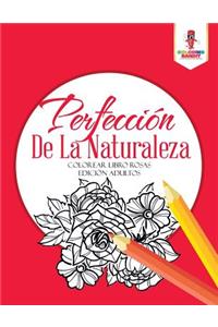 Perfección De La Naturaleza