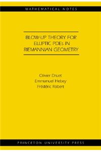 Blow-up Theory for Elliptic PDEs in Riemannian Geometry