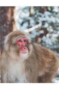 Monkey in Snow Blank Lined Notebook