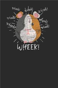 Wheek Guinea Pig