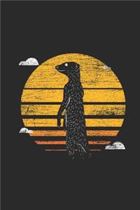 Meerkat Sunset