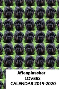 Affenpinscher Lovers Calendar 2019-2020