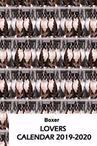 Boxer Lovers Calendar 2019-2020