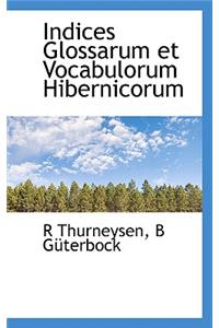 Indices Glossarum Et Vocabulorum Hibernicorum