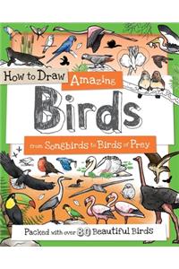 How to Draw Amazing Birds