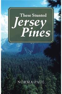 These Stunted Jersey Pines