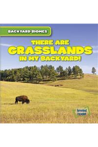 There Are Grasslands in My Backyard!