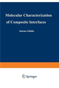 Molecular Characterization of Composite Interfaces