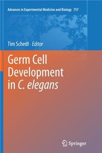 Germ Cell Development in C. Elegans