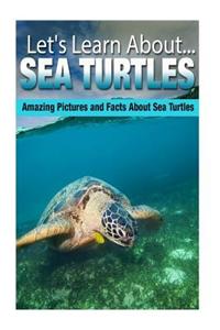 Sea Turtles: Amazing Pictures and Facts about Sea Turtles