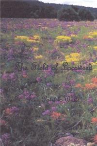 Field of Locoweed