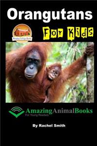 Orangutans For Kids