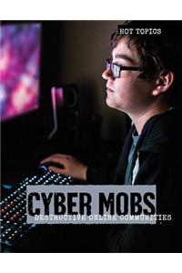 Cyber Mobs