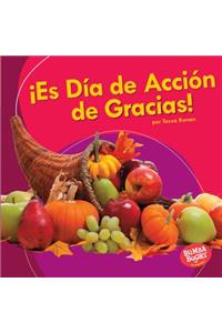 ¡Es Día de Acción de Gracias! (It's Thanksgiving!)