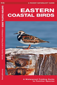 Eastern Coastal Birds