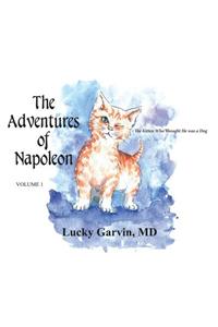 The Adventures of Napoleon, Volume 1: The Kitten Who Thought He Was a Dog