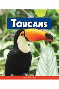 Toucans