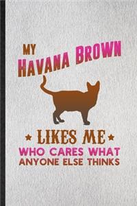 My Havana Brown Likes Me Who Cares What Anyone Else Thinks