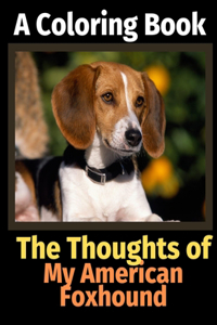 Thoughts of My American Foxhound