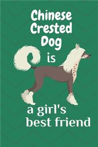 Chinese Crested Dog is a girl's best friend