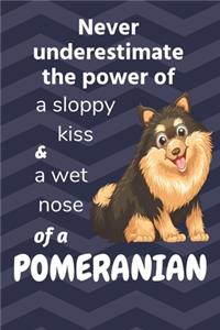 Never underestimate the power of a sloppy kiss and a wet nose of a Pomeranian
