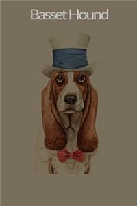 Basset Hound