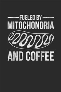 Fueled By Mitochondria