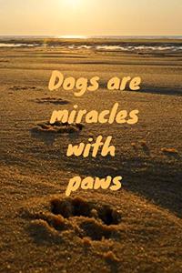 Dogs are miracles with paws