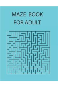 Maze book for adult