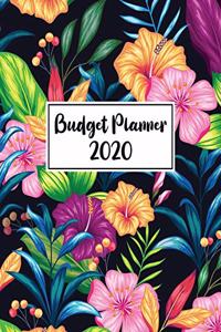 Budget Planner 2020