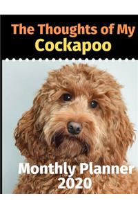 The Thoughts of My Cockapoo