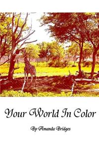 Your World In Color