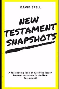 New Testament Snapshots