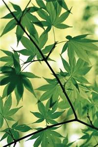 Spring Maple Notebook