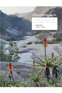 Aloes in the Gorge Composition Notebook, College Ruled