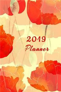 2019 Planner: 6x9 Daily and Weekly Agenda Planner and Organizer V4