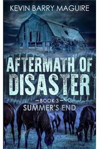 Aftermath of Disaster