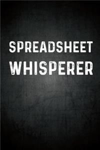 Spreadsheet Whisperer