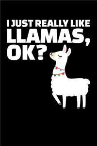 I Just Really Like Llamas, OK?